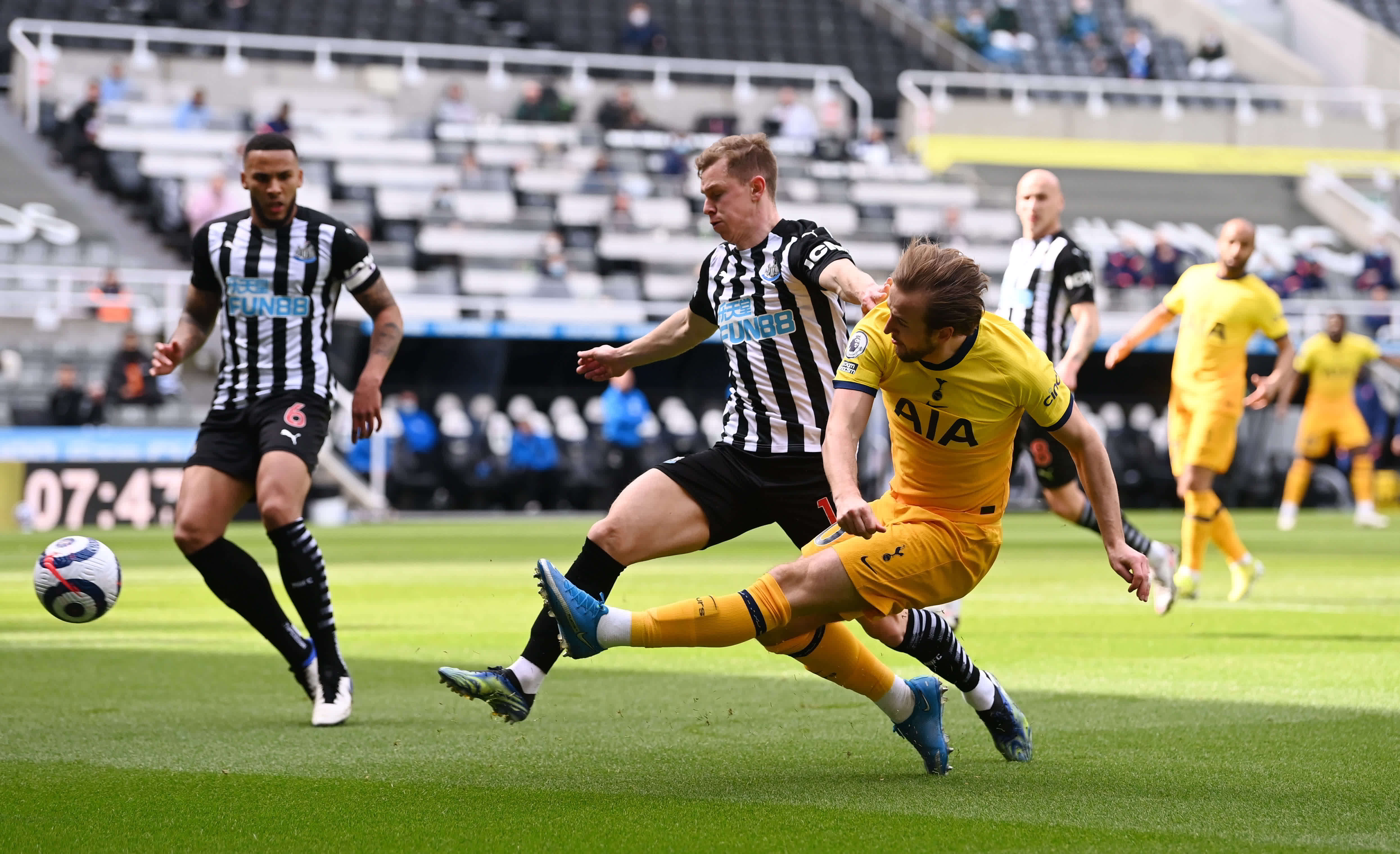 了法国羽毛 了法国羽毛